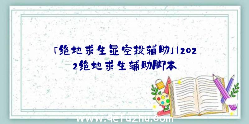 「绝地求生显空投辅助」|2022绝地求生辅助脚本